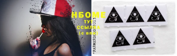 стаф Алзамай