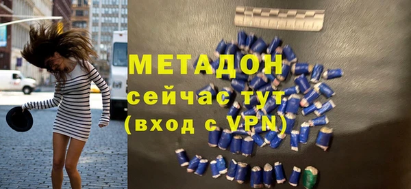 стаф Алзамай