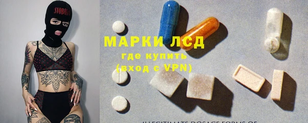 стаф Алзамай