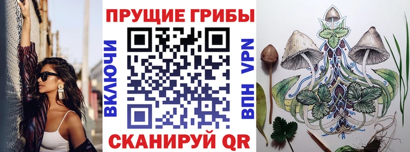 Галлюциногенные грибы Psilocybine cubensis  Венёв 